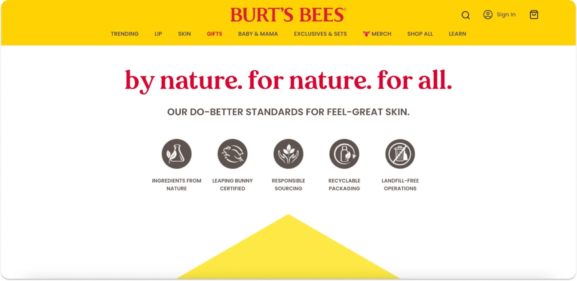 burt's bees as a sustainable marketing example