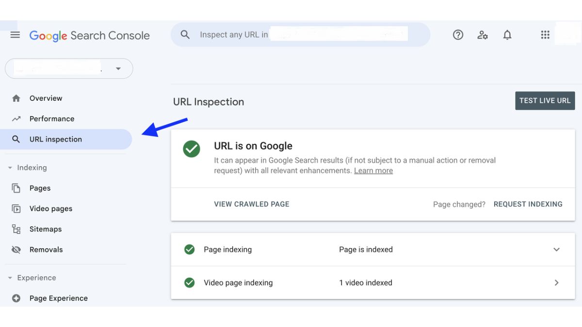 Check for and Fix Crawl and Indexing Errors