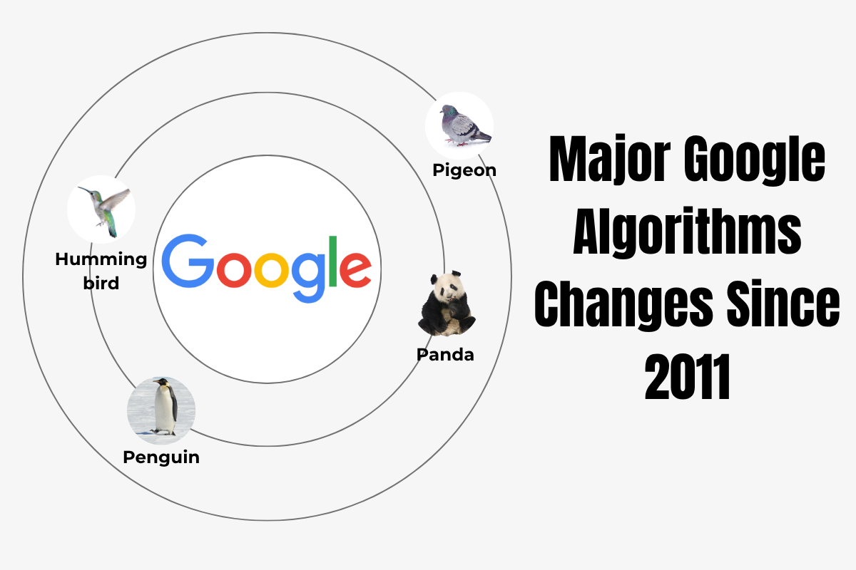 Google-updates