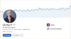 Lily Ray is one of the top SEO experts in the world.